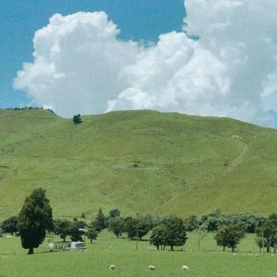 皇冠新体育APP手机app下载