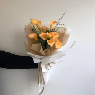 金沙澳门场娱网址截图