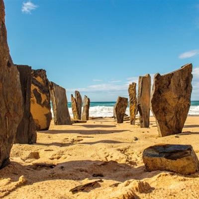 非凡体育APP下载下载手机版截图