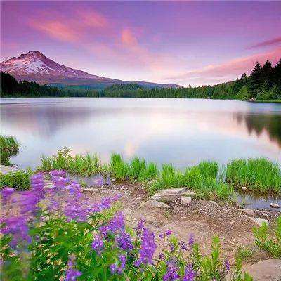 ag入口官网登录截图