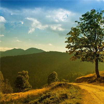 云开平台app最新版