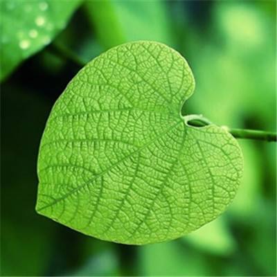 非凡体育APP下载下载手机版截图